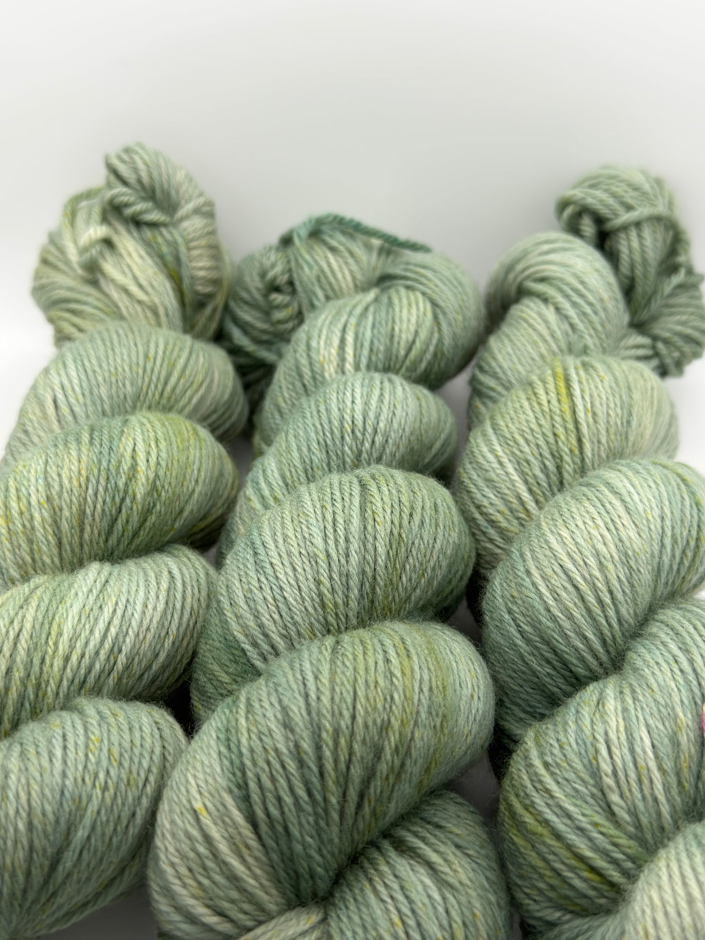 Sage
