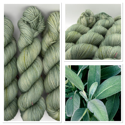 Sage