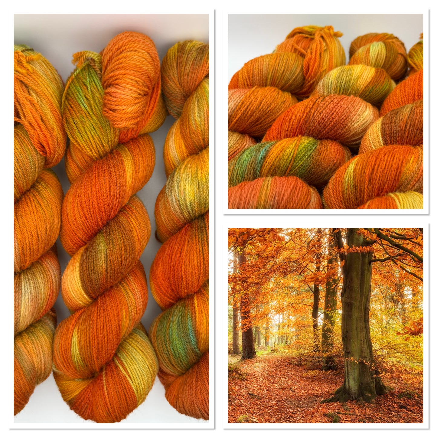 Woodland Walk - 4ply/Sock