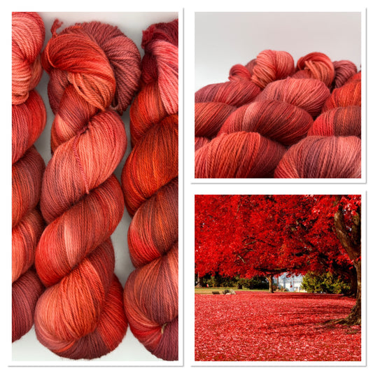 Japanese Fall hand dyed merino yarn skeins in coral, burnt orange, brick red and wine, beside the red maple trees that inspired the colourway